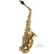 TREVOR JAMES - Saksofon Alt - 374 SR-KK