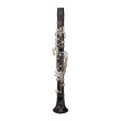 RZ WOODWIND - Klarnet C /Silver/